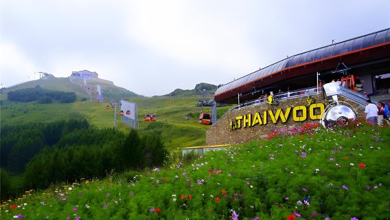 One-day tour of Zhangjiakou Zhangbei Grass Skyline and Thaiwoo Ski Resort in Hebei: Private chartered car + admission