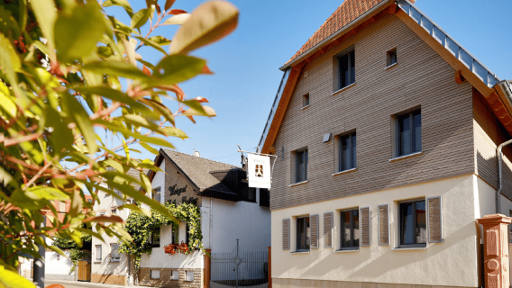 Bio-Wein-Entdeckungstour mit Verkostung im Bio-Weingut Mohr-Gutting (Pfalz)