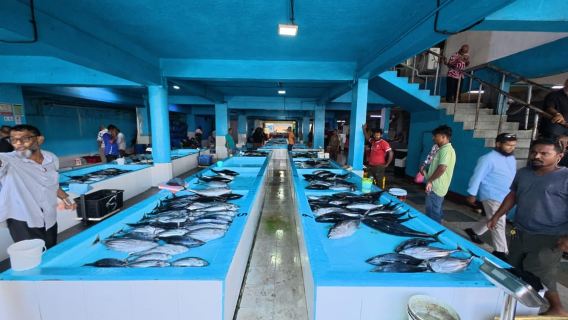 Maldives: Male City Highlights Tour by Car with Local Guide