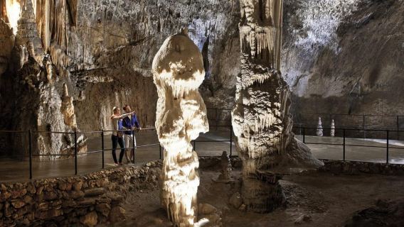 Koper: Postojna Cave with Train Ride - group tour