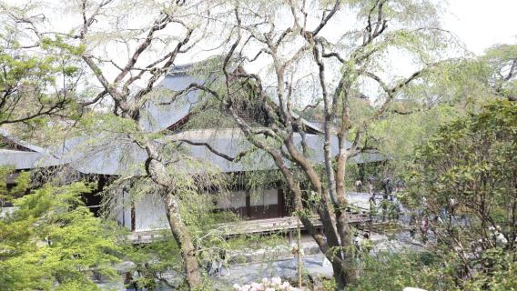 Kyoto: E-Bike Tour of Palace, Castle, Temples & Hidden Gems