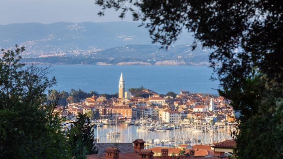From Koper: Group tour to Piran - Coastal Gem