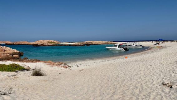 Muscat: Schnorcheltour auf den Daymaniat Islands mit Erfrischungen