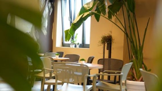 Finnish Sauna and Cold Plunge Experience in Belgrade