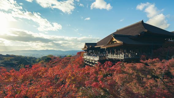 Visite guidée de 2 heures au temple Kiyomizu : l'eau millénaire et la pluie de Kyoto