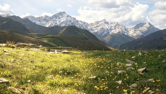 Wuwei - Lanzhou Kuil Pagoda Putih + Gunung Tangga Syurga + Pergunungan Wushao + Zhuaxixiulong + Gunung Salji Gigi Kuda lawatan sehari