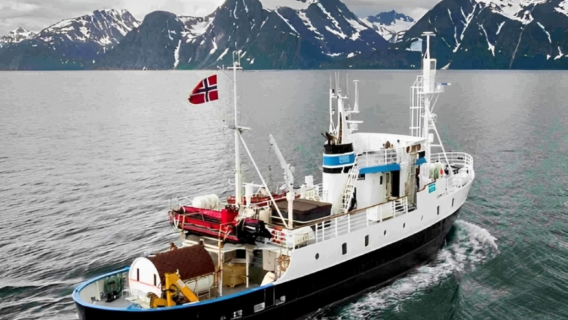 Départ de Tromsø : croisière dans les fjords sous les aurores boréales