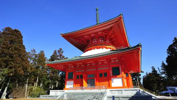 [官方票] 大阪南海電鐵 全線二日乘車券丨不限次數自由乘坐 可達關西機場/難波/和歌山/高野山