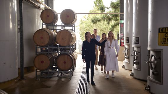 Visita guiada y cata de vinos en la bodega Sirromet con almuerzo de dos platos (de lunes a jueves)