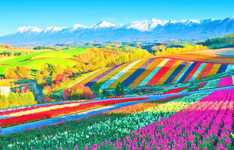 日本北海道訂製包車團【含普通話司機札幌美瑛富良野登別洞爺湖】