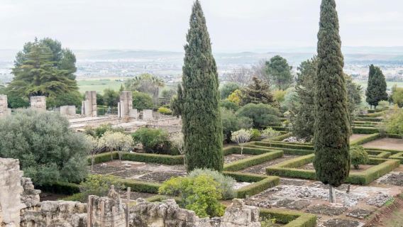 Medina Azahara Guided Tour