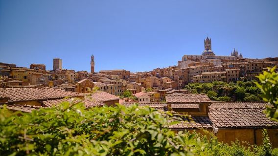 FlorenceTours
