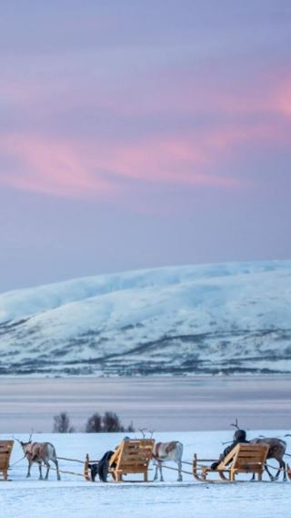Tromso · Reindeer camp visit 6.5 hrs (sledding/snowshoeing optional | chance of northern lights)