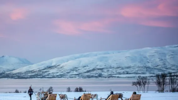 Tromso · Reindeer camp visit 6.5 hrs (sledding/snowshoeing optional | chance of northern lights)