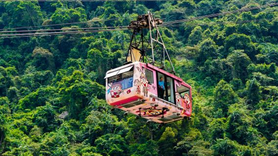 Neidong National Forest Recreation Area + Yun Hsien Resort + Wulai Scenic Train + Wulai Falls Old Street shared 1-day tour