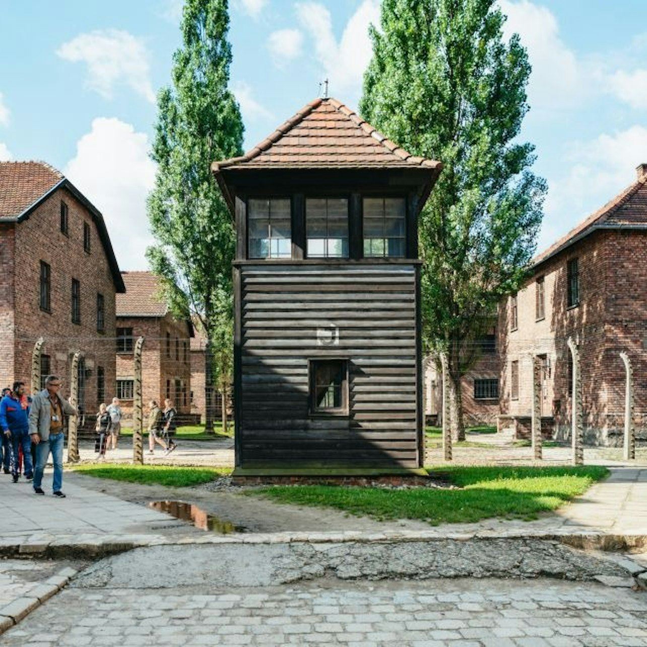 Auschwitz-Birkenau: Tour guiado + Transporte