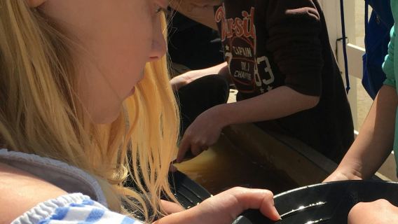 Museo de Historia de Sacramento: Entrada