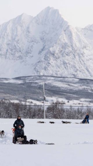 Tromso · Dog sledding 4.5–6.5 hrs (multi-package optional)