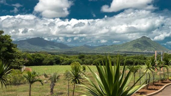 MauritiusExperiences