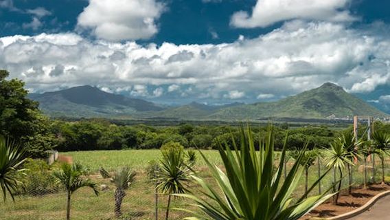 MauritiusExperiences