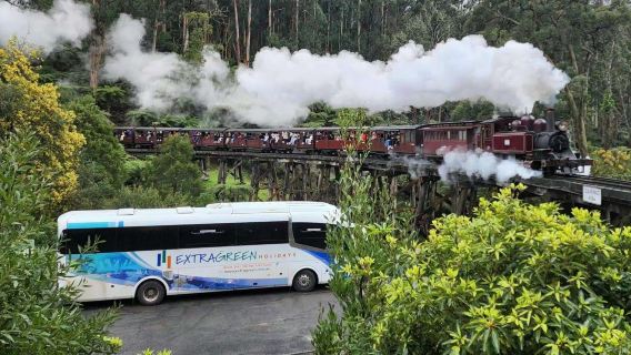 墨爾本普芬比利蒸氣火車+菲利普島一日遊【彩虹小屋+企鵝歸巢
