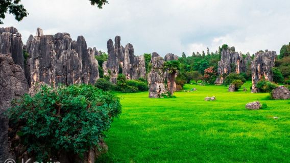 Kunming + Shilin Jiuxiang one-day tour|guide|middle|Britain|Russian|German|Itinerary can be customizedF