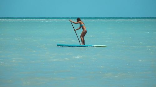 Dubai Attraction: Stand Up PaddleBoard Dubai Day Tours 5
