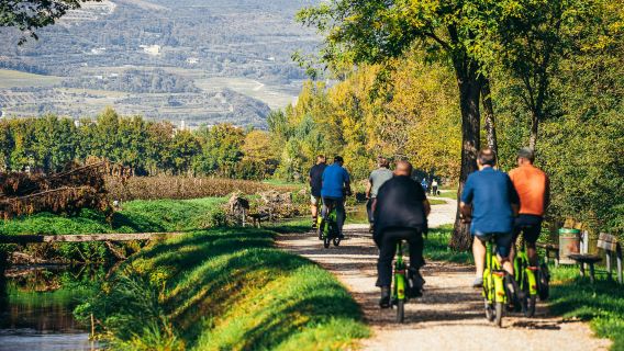 Amarone Wine e-Bike Tour in Valpolicella