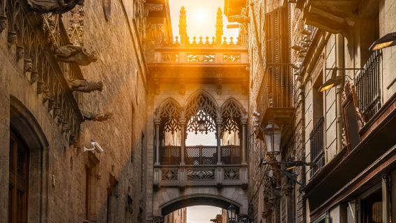 Barcelona: Gothic Quarter Guided Tour + Flamenco Show