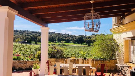 Bodega Doña Felisa: Guided Tour & Wine Tasting or Lunch