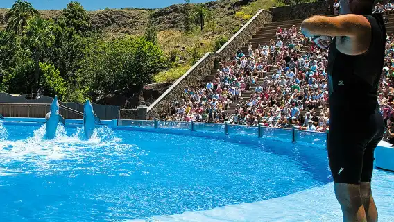 Palmitos Park: Entry Ticket