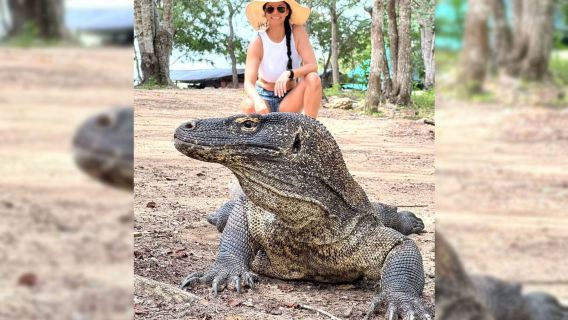 Tour a Komodo desde Bali 3 días 2 noches para explorar el sitio UNESCO del lagarto gigante del mundo