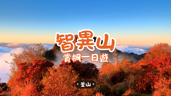 全州日遊