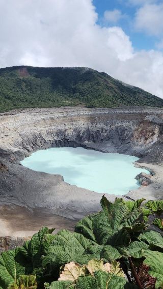 1-day tour to Poas volcano coffee farm and La Paz waterfall gardens from San Jose, Costa Rica