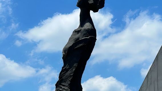 侵華日軍南京大屠殺遇難同胞紀念館半日遊【沉浸遊】【私家團】