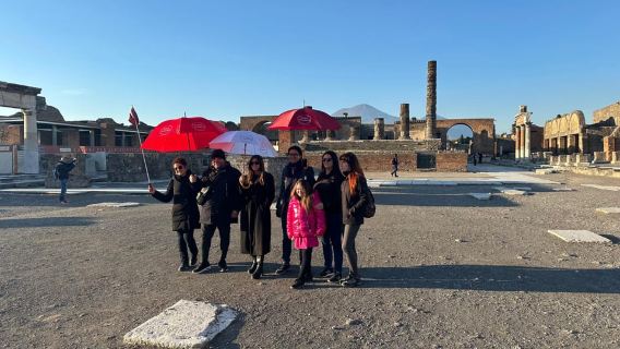 Amalfi Coast: Pompeii, Vesuvius, & Wine Tasting with Lunch
