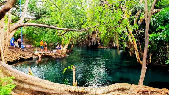 Arusha: Materuni Waterfall, Coffee Tour, and Hot Springs