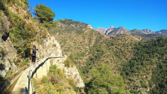 Dari Málaga: Tur Hiking Frigiliana dengan Anggur & Makanan Pembuka