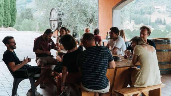 Lucca: Guided Winery Tour with Wine Tasting