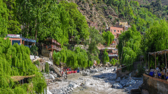 Excursión de un día al valle de Ourika y las montañas del Atlas desde Marrakech