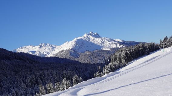 挪威特羅姆瑟-塞尼亞島一日遊-中文司導【多/日遊全境定制】