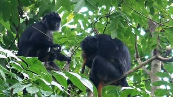 Lombok: Tur Berpemandu Desa dan Sawah Tetebatu