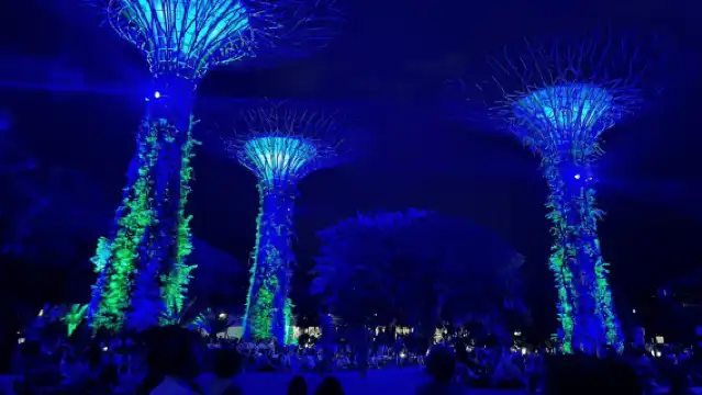 新加坡:暮光之旅,包括河上遊船和燈光秀