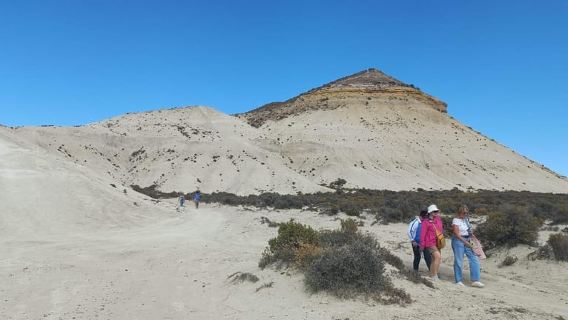Puerto Madryn en 4 horas: City tour y circuito sur con picnic