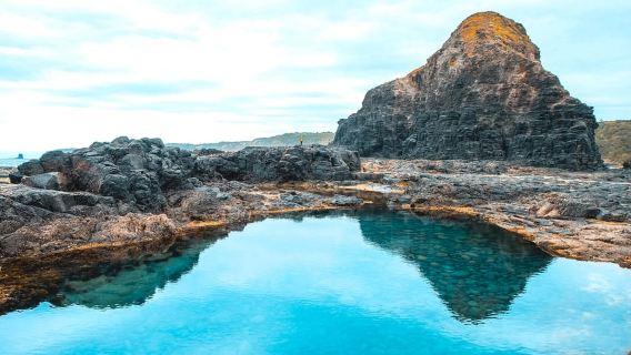 Melbourne: Excursión a la península de Mornington y aguas termales (máximo 8 personas)