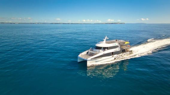 Auckland: Du thuyền ngắm cá voi, cá heo và đảo Tikapa Moana