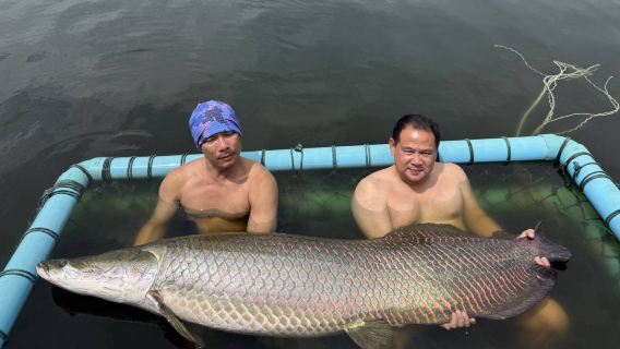 Paket Memancing Ikan Raksasa di Bungsamran Fishing Park