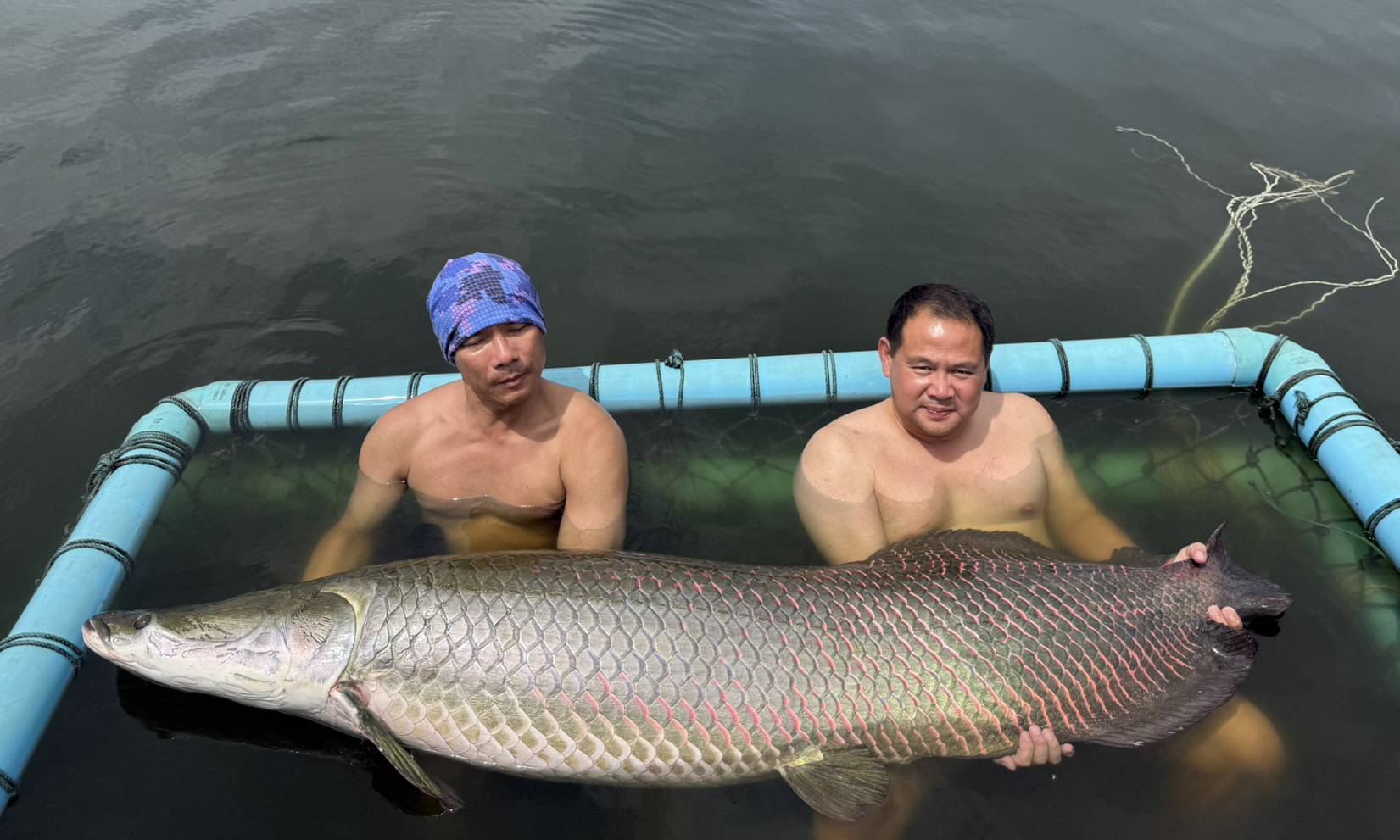 Pacchetto pesca di pesci giganti al Bungsamran Fishing Park