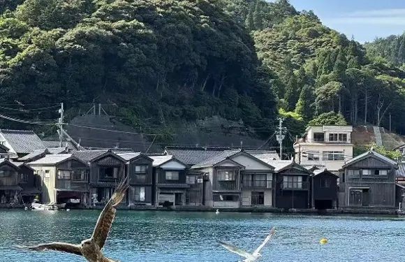 京都+天橋立+伊根舟屋+丹後列車一日遊【中文司機/私人訂製】