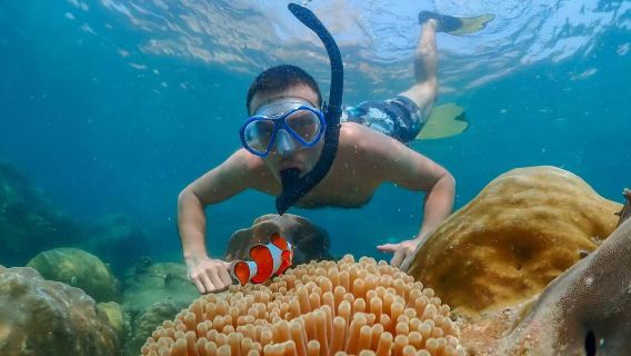 Tagesausflug zum Hochseeangeln und Schnorcheln auf der Nemo-Insel in Pattaya Samaesarn (Samae San)